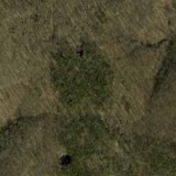 Satellite imagery of Terrill Ridge, US