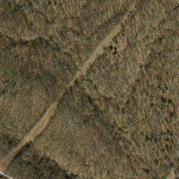 Satellite imagery of Berry Ridge, US