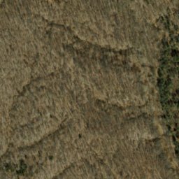 Satellite imagery of Berry Ridge, US