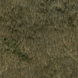Satellite imagery of Crum Point, US