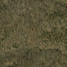Satellite imagery of Crum Point, US