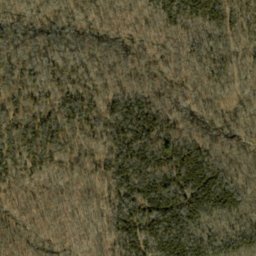 Satellite imagery of Crum Point, US