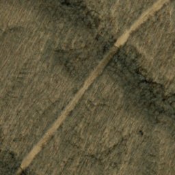 Satellite imagery of Berry Ridge, US