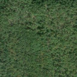 Satellite imagery of Courtney Ridge, US