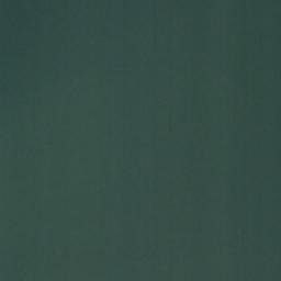Satellite imagery of Long Tule Point, US