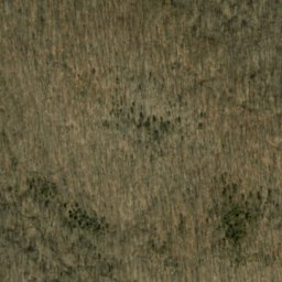 Satellite imagery of Crum Point, US