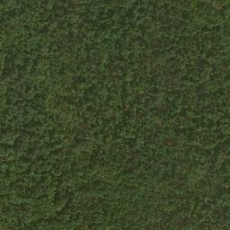 Satellite imagery of McIiwee Ridge, US