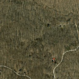 Satellite imagery of Crum Point, US