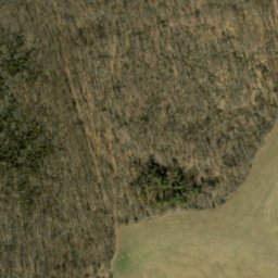 Satellite imagery of Crum Point, US