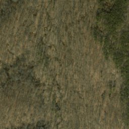 Satellite imagery of Frog Pond Ridge, US