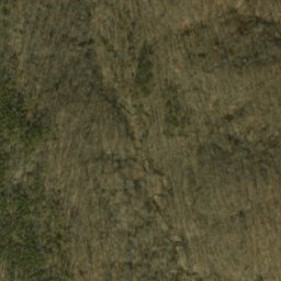 Satellite imagery of Frog Pond Ridge, US