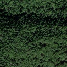 Satellite imagery of Smiths Point, US
