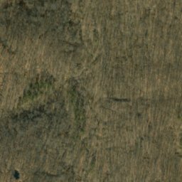 Satellite imagery of Frog Pond Ridge, US