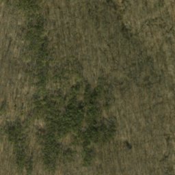 Satellite imagery of Frog Pond Ridge, US