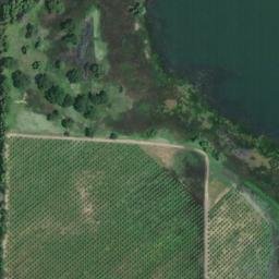Satellite imagery of Quercus Point, US