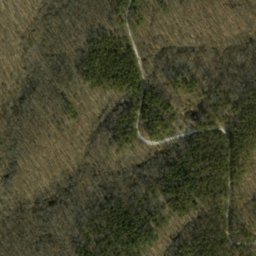 Satellite imagery of Hickory Ridge, US