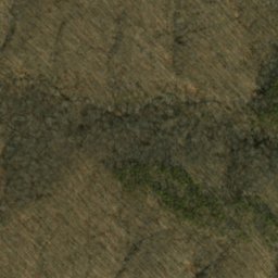 Satellite imagery of Hickory Ridge, US