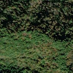 Satellite imagery of LYNN — NGS JX1952 — Gilmer County, US, US