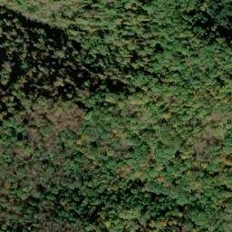 Satellite imagery of LYNN — NGS JX1952 — Gilmer County, US, US