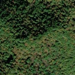 Satellite imagery of LYNN — NGS JX1952 — Gilmer County, US, US