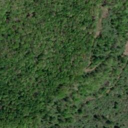 Satellite imagery of BERNARD — NGS JX1946 — Lewis County, US, US