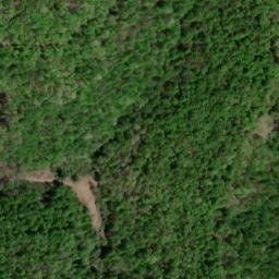 Satellite imagery of PURG — NGS JX1914 — Lewis County, US, US