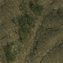 Satellite imagery of Hickory Ridge, US