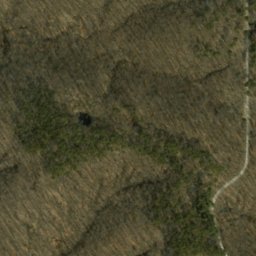 Satellite imagery of Hickory Ridge, US
