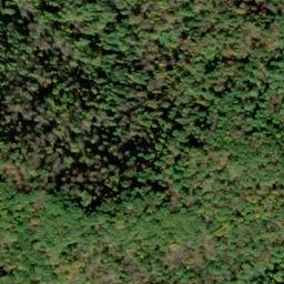 Satellite imagery of LYNN — NGS JX1952 — Gilmer County, US, US