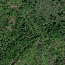 Satellite imagery of BERNARD — NGS JX1946 — Lewis County, US, US