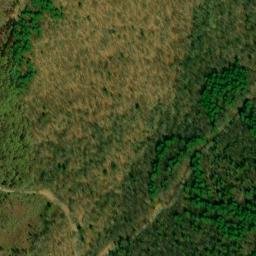 Satellite imagery of Chestnut Ridge, US