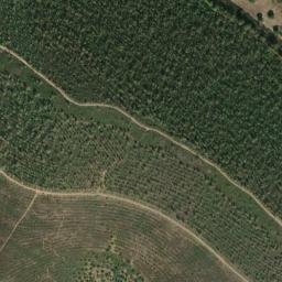 Satellite imagery of survey_point, PT