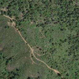 Satellite imagery of McAllister Ridge, US
