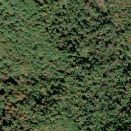 Satellite imagery of SPRING — NGS JX1955 — Gilmer County, US, US