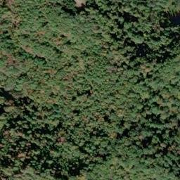 Satellite imagery of SPRING — NGS JX1955 — Gilmer County, US, US