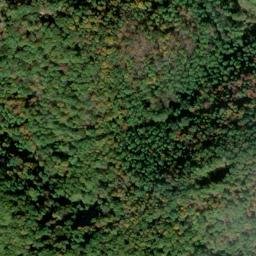 Satellite imagery of LYNN AZIMUTH — NGS JX1953 — Gilmer County, US, US