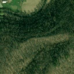 Satellite imagery of Z 8 — NGS JX0309 — Lewis County, US, US