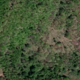 Satellite imagery of BERNARD — NGS JX1946 — Lewis County, US, US