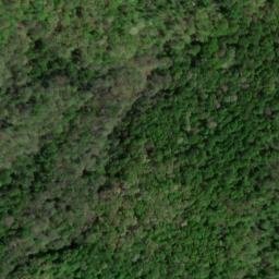 Satellite imagery of PURG — NGS JX1914 — Lewis County, US, US