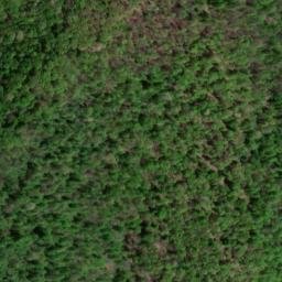 Satellite imagery of PURG — NGS JX1914 — Lewis County, US, US