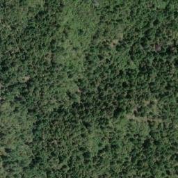 Satellite imagery of McAllister Ridge, US