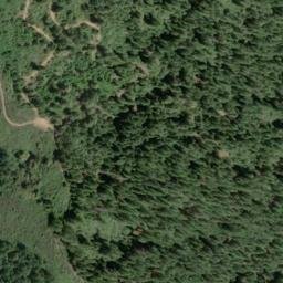 Satellite imagery of McAllister Ridge, US
