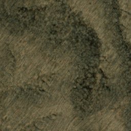 Satellite imagery of Fork Ridge, US