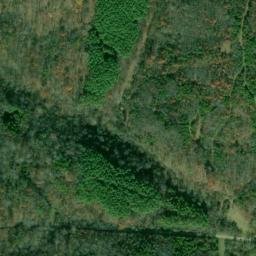 Satellite imagery of McKenzie Ridge, US