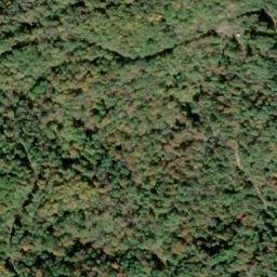 Satellite imagery of SPRING — NGS JX1955 — Gilmer County, US, US