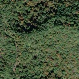 Satellite imagery of SPRING — NGS JX1955 — Gilmer County, US, US