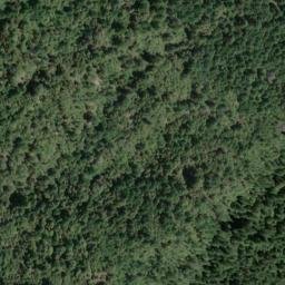 Satellite imagery of McAllister Ridge, US