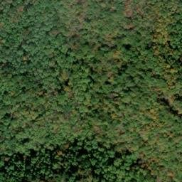 Satellite imagery of LYNN AZIMUTH — NGS JX1953 — Gilmer County, US, US