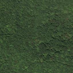 Satellite imagery of E 10 — NGS JX0212 — Lewis County, US, US