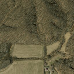 Satellite imagery of Fork Ridge, US